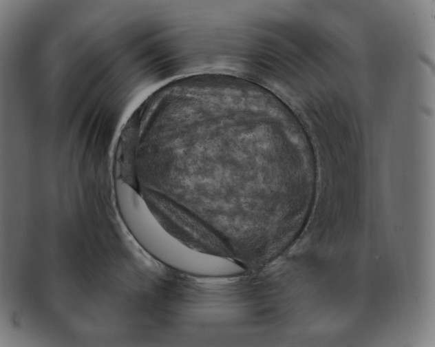 X0000091711200200709210935