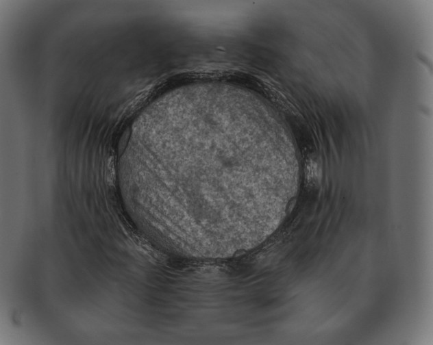 X0000091711204200709210935