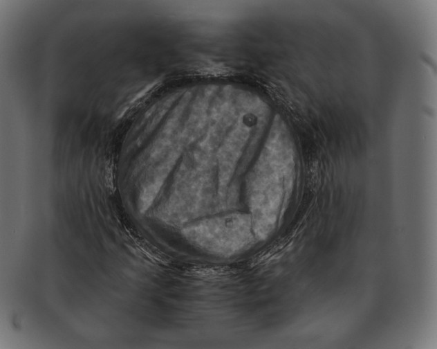 X0000091711205200709210935