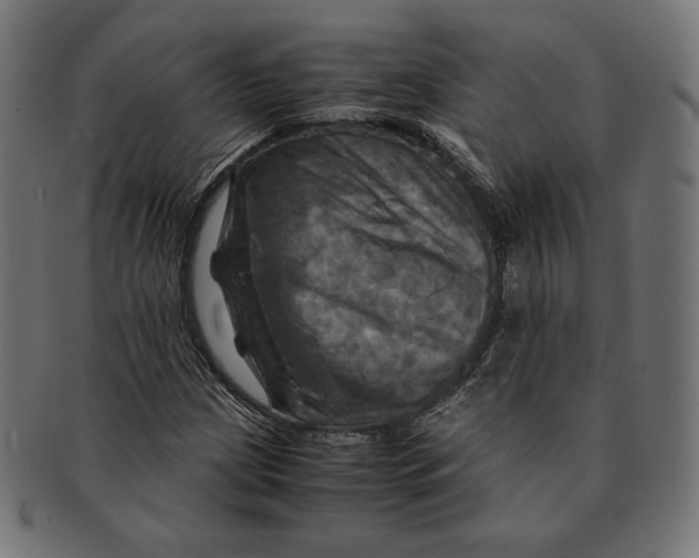 X0000091711209200709210935