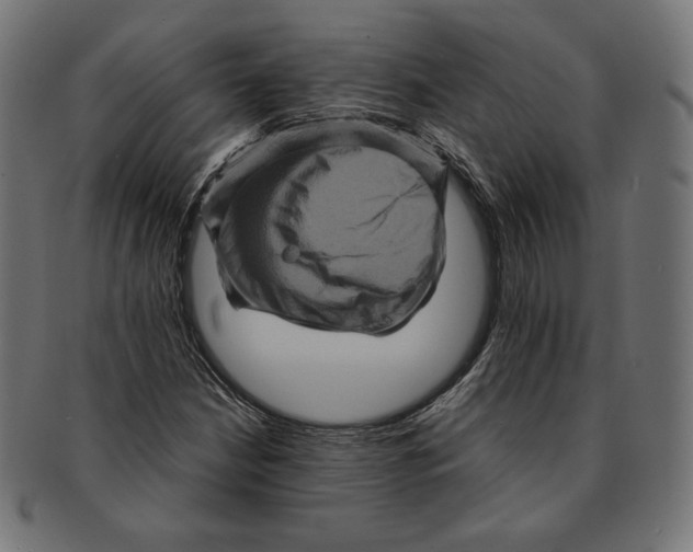 X0000091711210200709210935