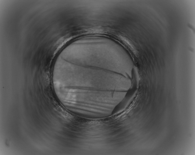 X0000091711212200709210935