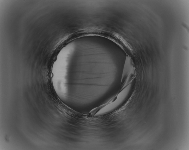 X0000091711213200709210935