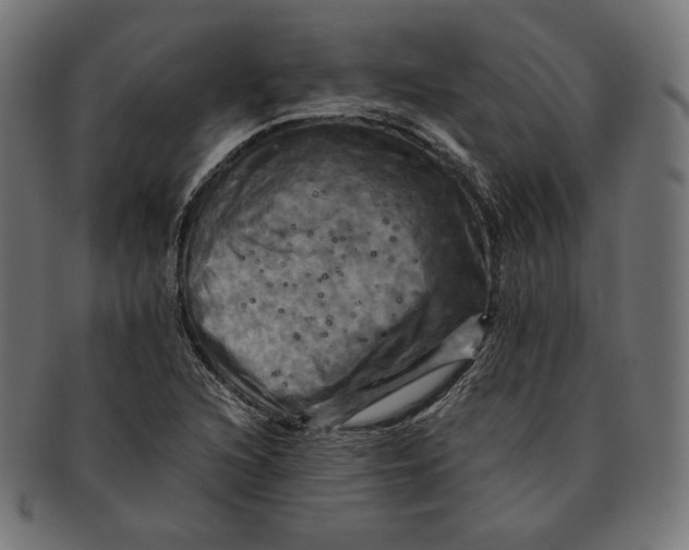 X0000091711216200709210935