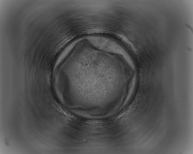 X0000091711217200709210935