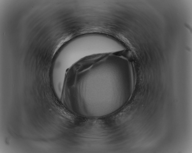 X0000091711218200709210935