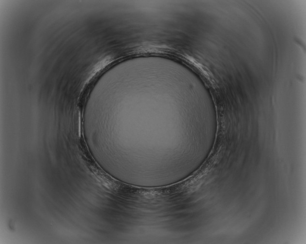 X0000091711219200709210935