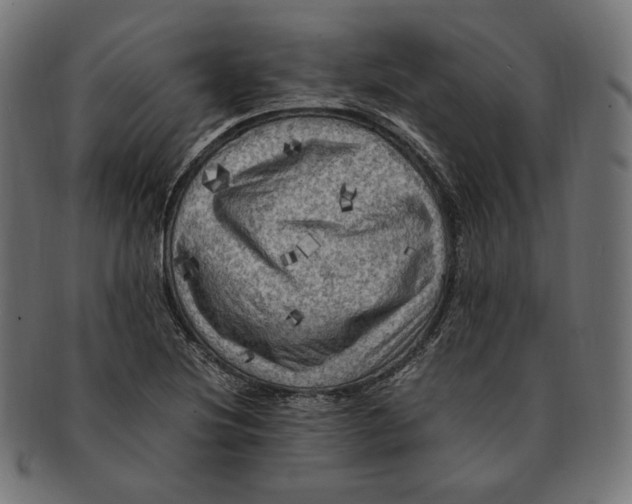 X0000091711220200709210935