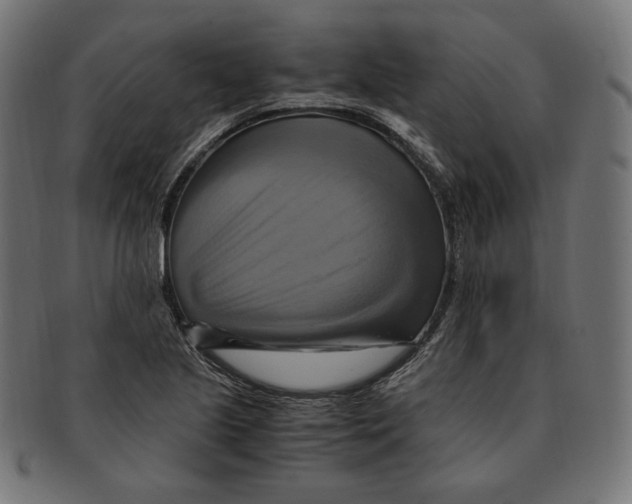 X0000091711221200709210935