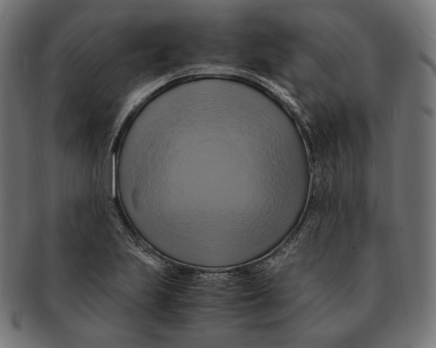 X0000091711223200709210935