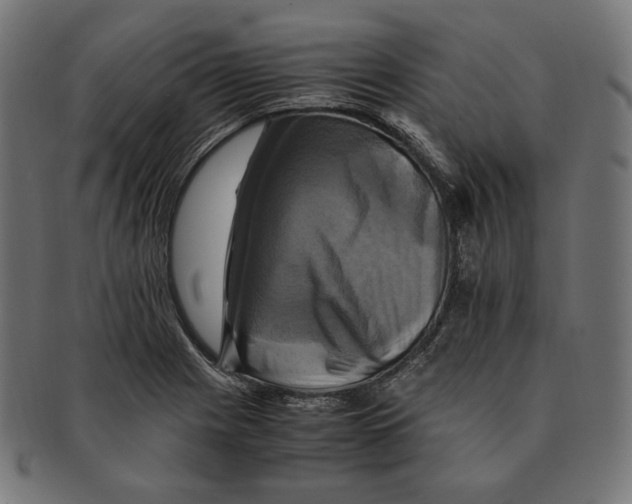 X0000091711225200709210935