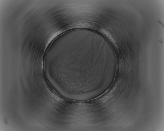 X0000091711226200709210935