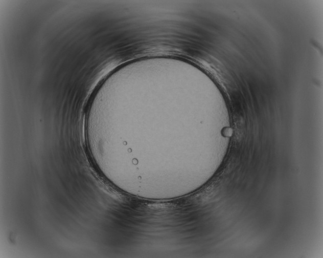 X0000091711227200709210935