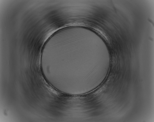 X0000091711228200709210935