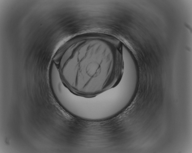 X0000091711230200709210935