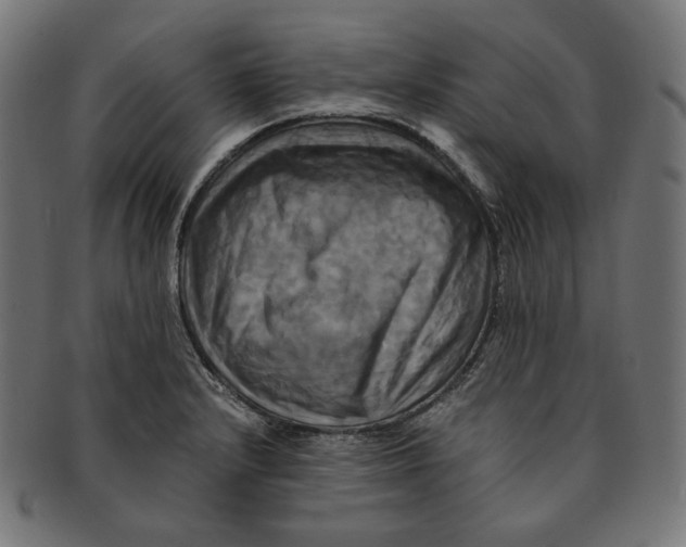 X0000091711232200709210935