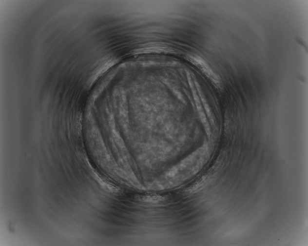 X0000091711233200709210935