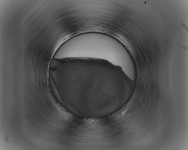 X0000091711234200709210935