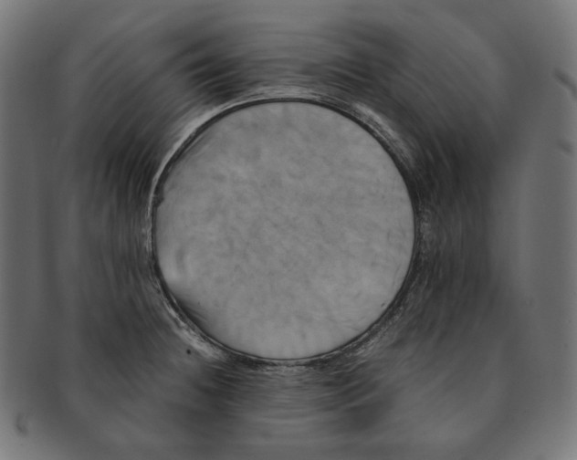 X0000091711236200709210935