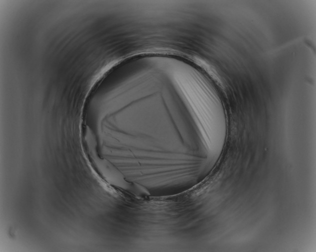 X0000091711237200709210935