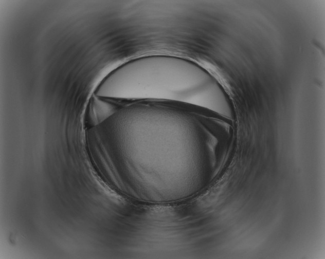 X0000091711238200709210935