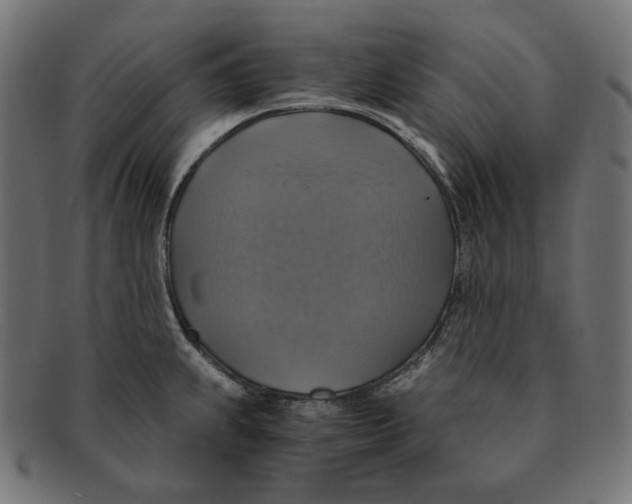 X0000091711239200709210935