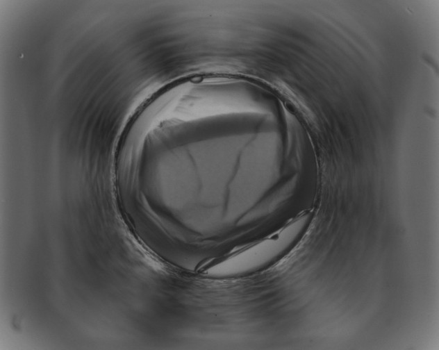 X0000091711240200709210935