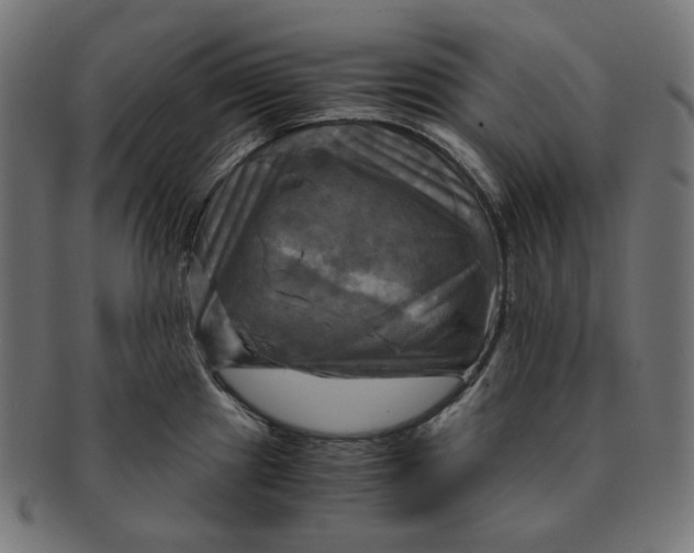 X0000091711241200709210935