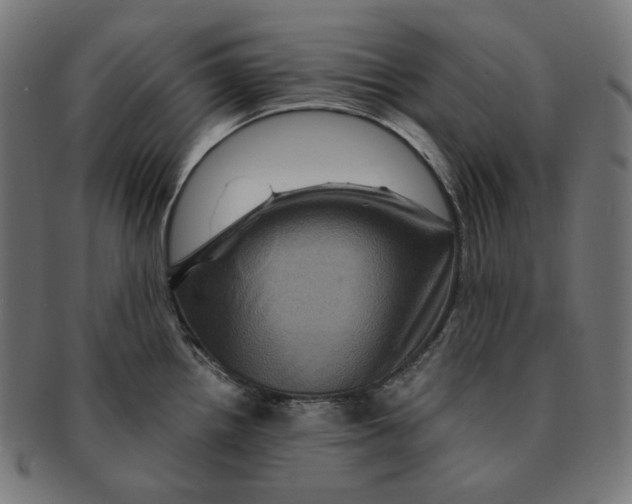 X0000091711242200709210935