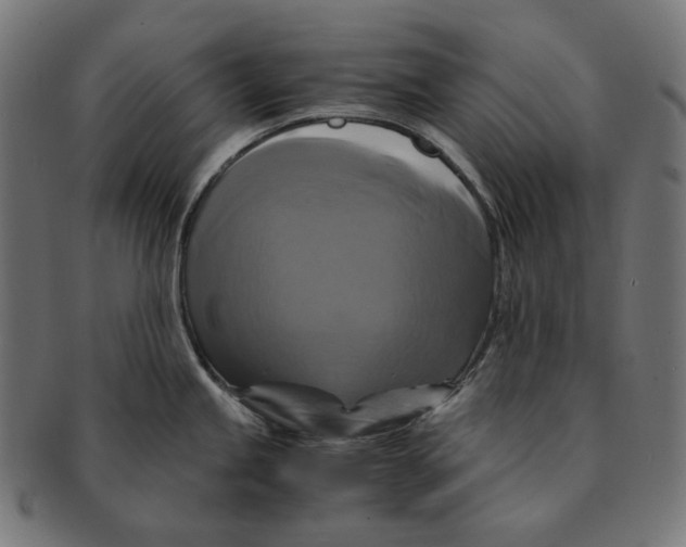 X0000091711245200709210935