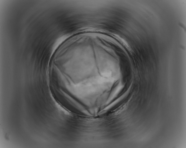 X0000091711247200709210935