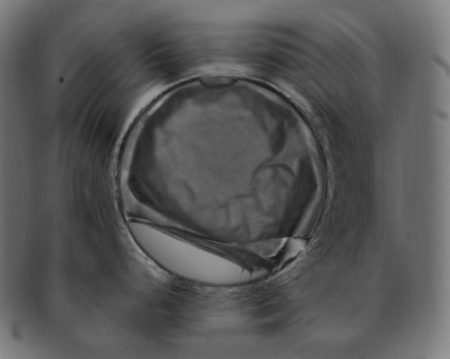 X0000091711248200709210935