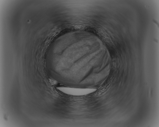 X0000091711249200709210935