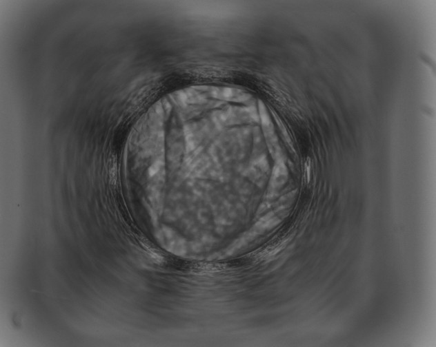 X0000091711251200709210935