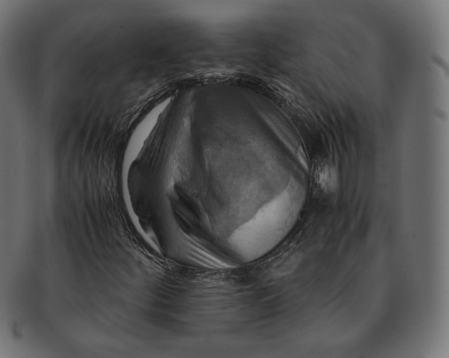 X0000091711252200709210935