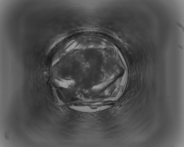 X0000091711255200709210935