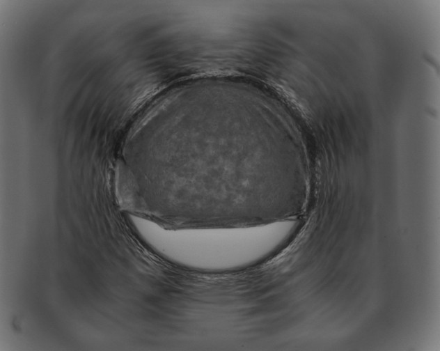 X0000091711257200709210935