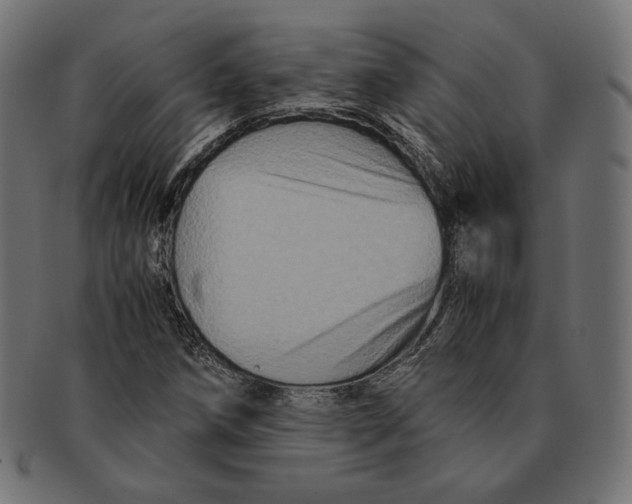 X0000091711258200709210935