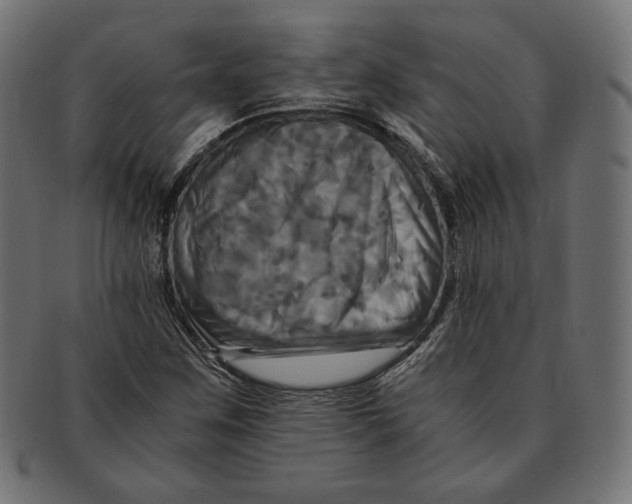 X0000091711259200709210935