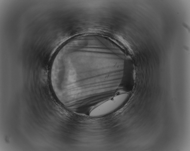 X0000091711260200709210935