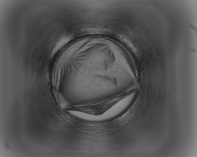 X0000091711261200709210935