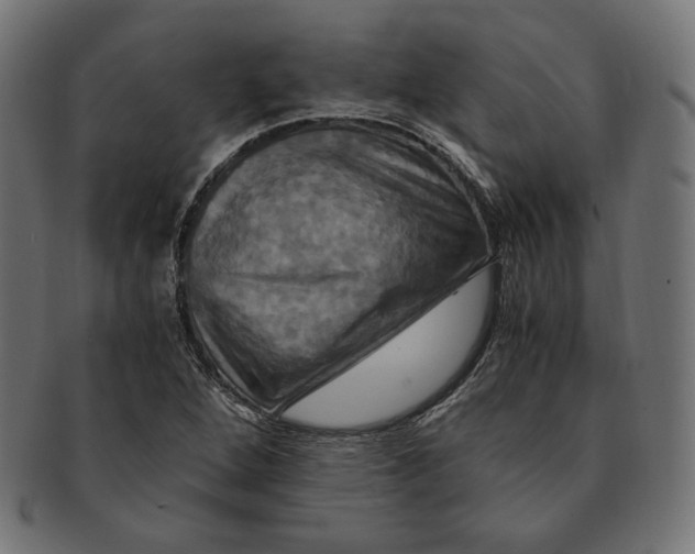 X0000091711264200709210935