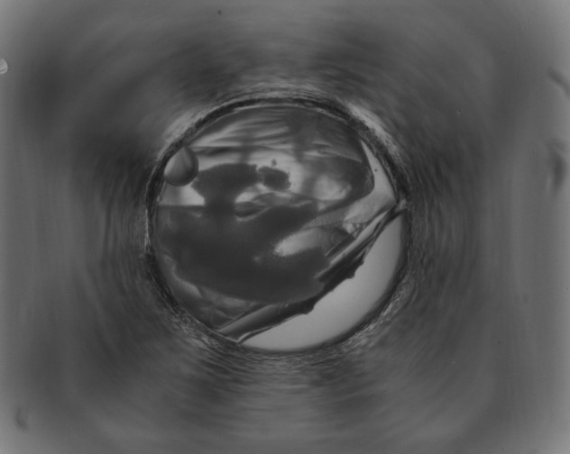 X0000091711267200709210935