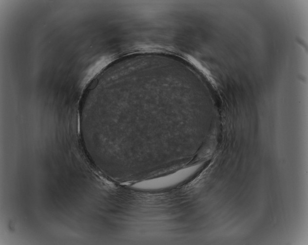 X0000091711269200709210935