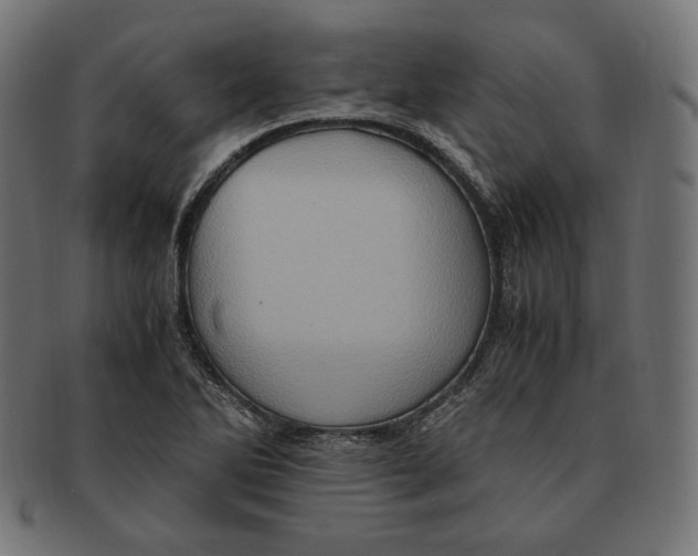 X0000091711270200709210935