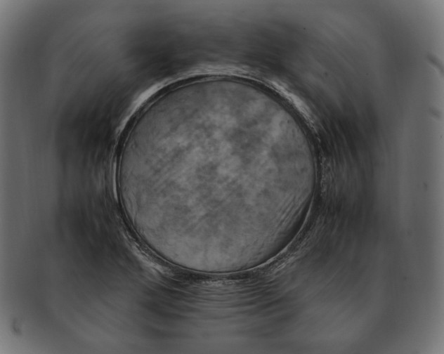 X0000091711272200709210935