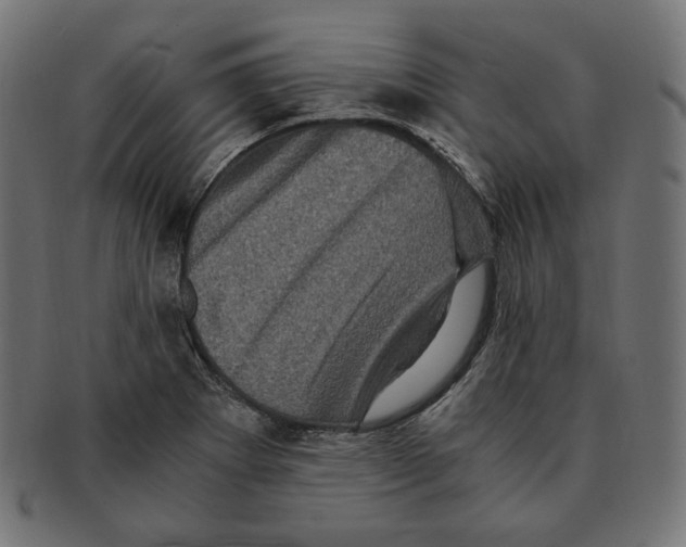 X0000091711273200709210935