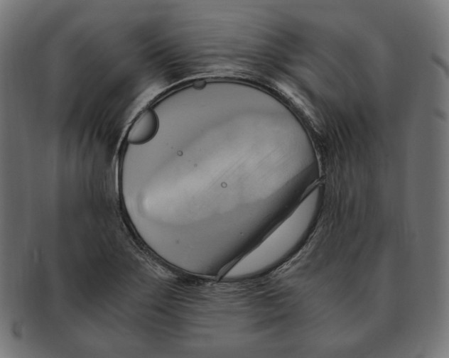 X0000091711275200709210935