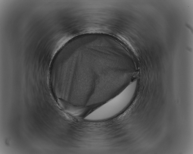 X0000091711277200709210935