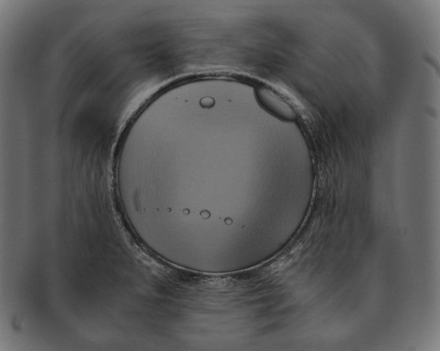 X0000091711279200709210935